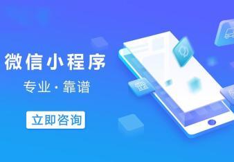 软件开发/网站建设/APP/系统软件小程序定制 开发